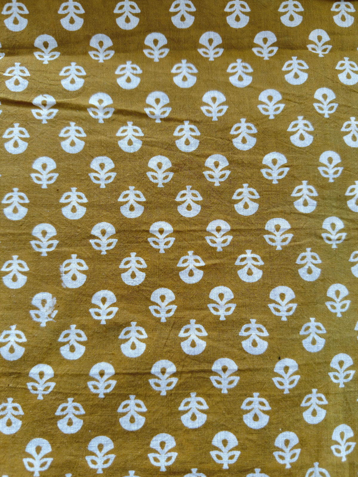 Jaipur printed materials