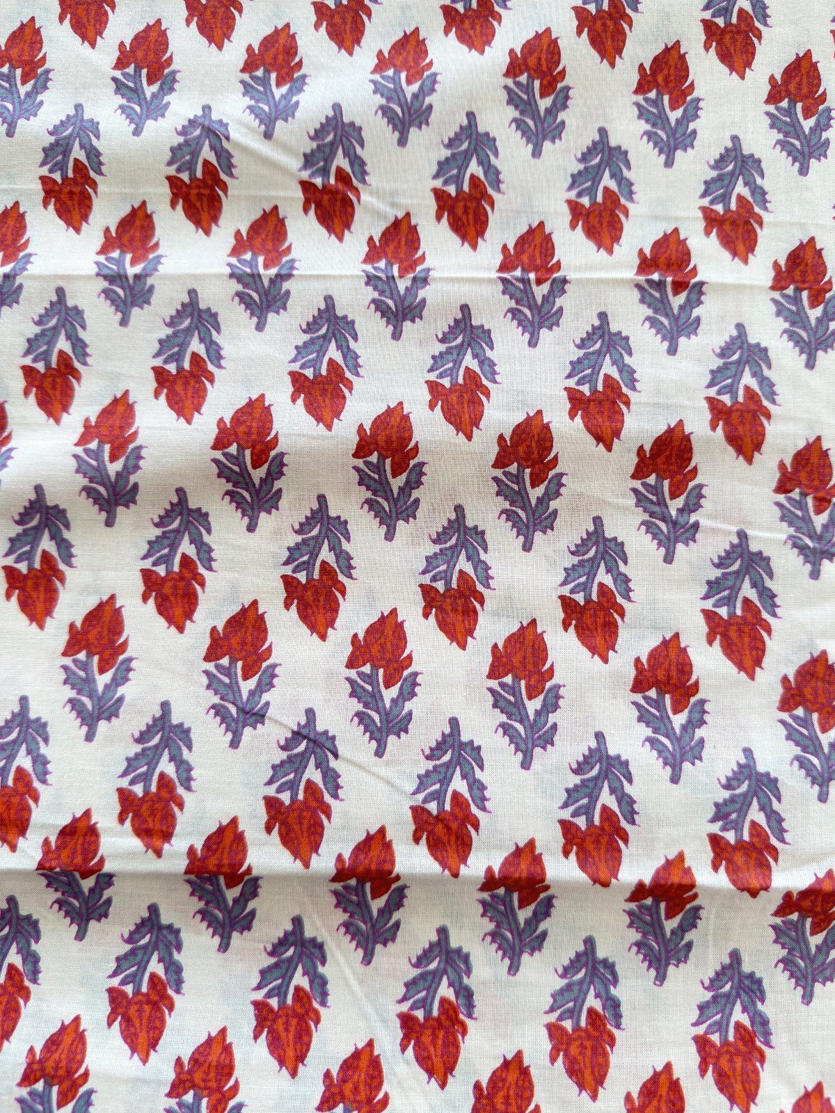 Jaipur printed materials