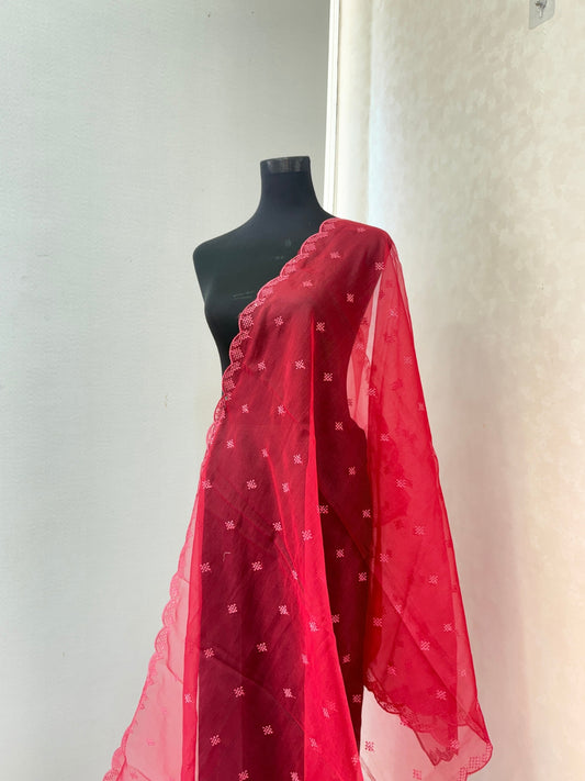 Sequence work Dupatta