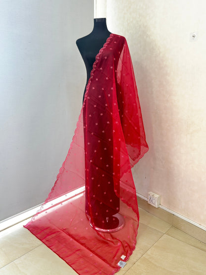 Sequence work Dupatta